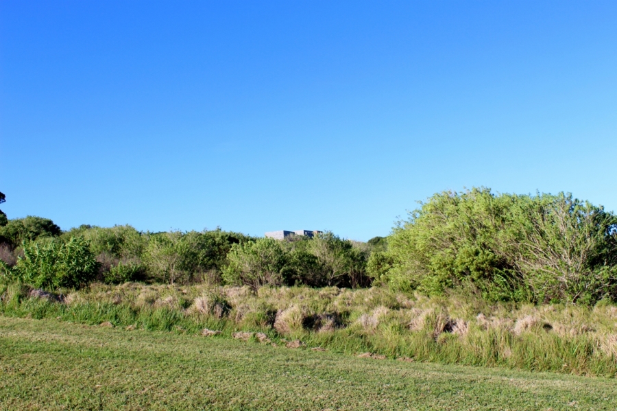 0 Bedroom Property for Sale in Forest Downs Eastern Cape